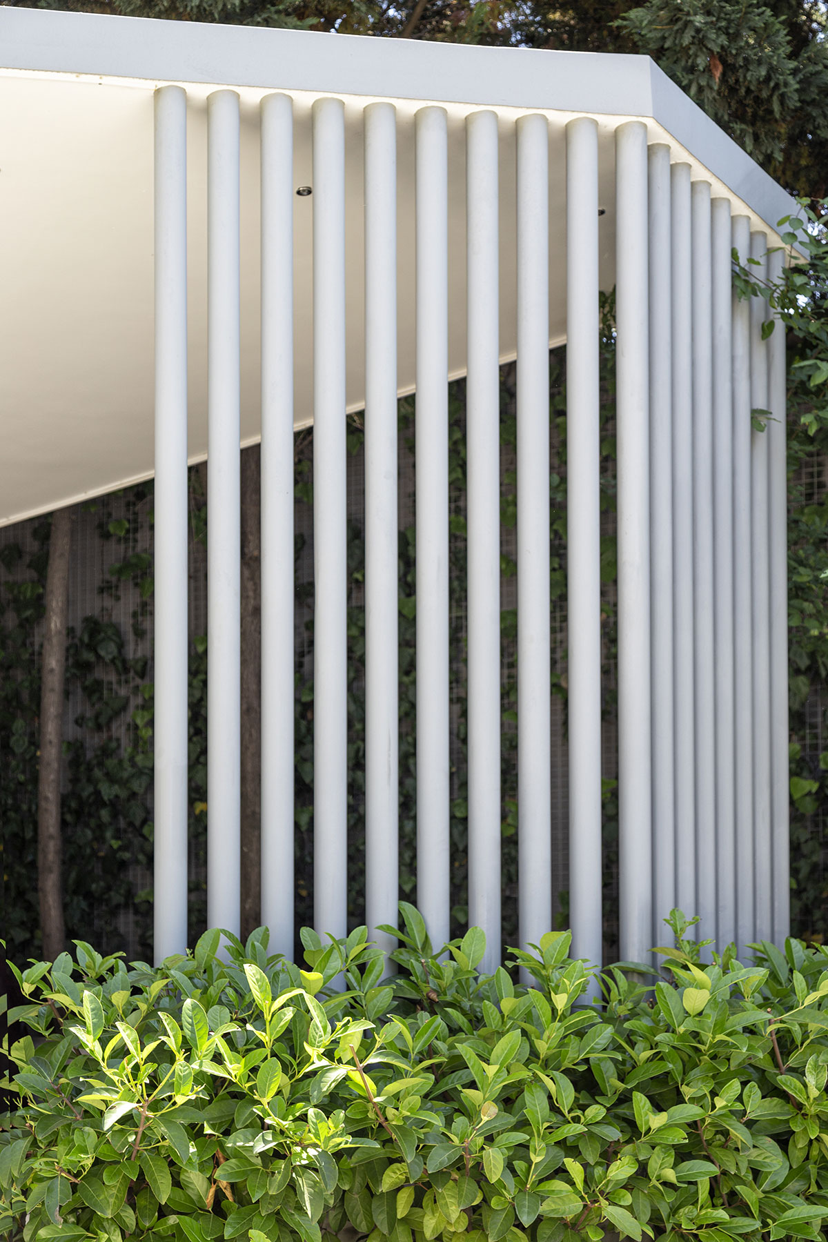 Yasemin Üstündağ || SBS İstanbul 2018