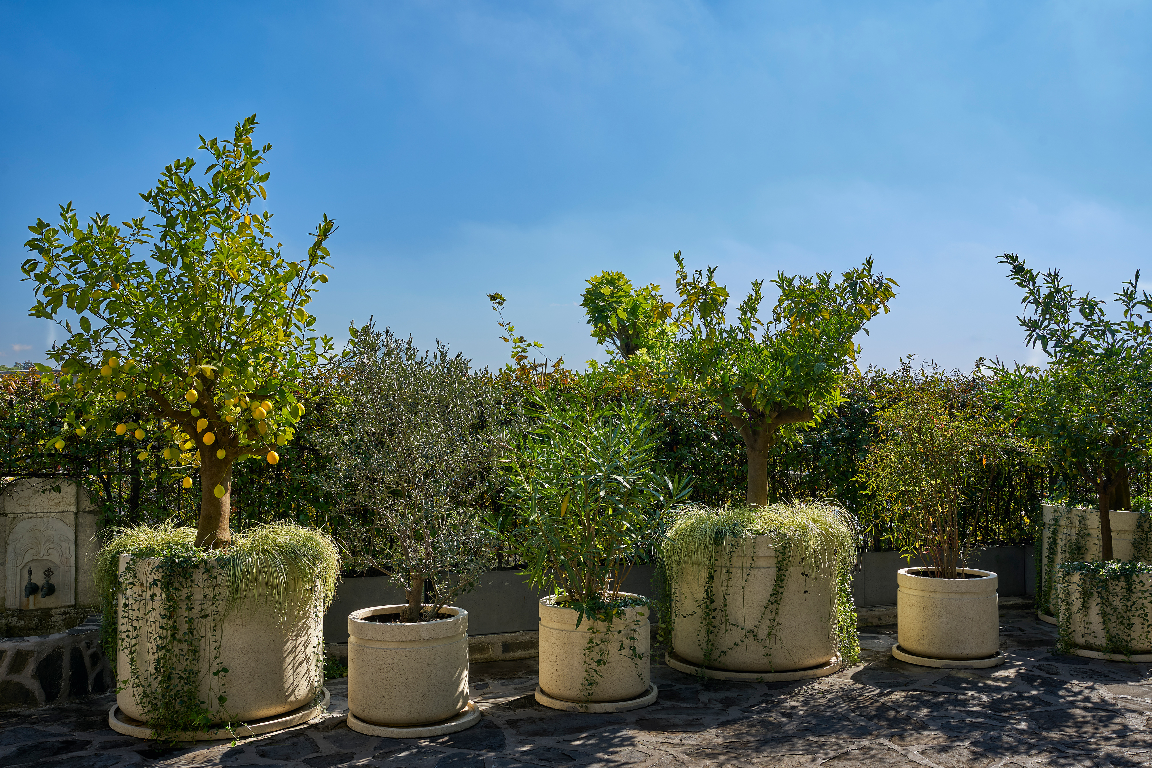 Yasemin Üstündağ || MAHONIA İstanbul 2023