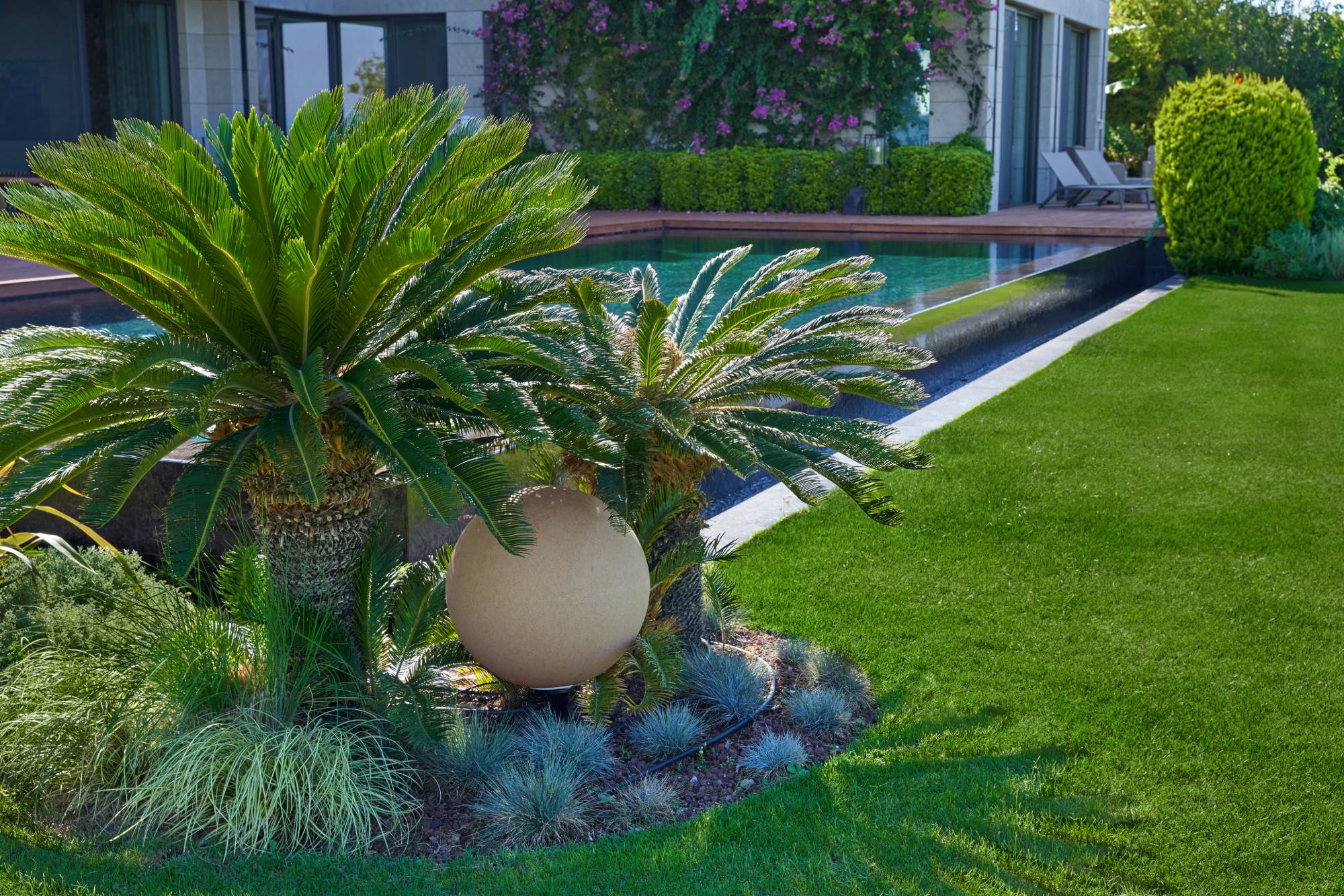 Yasemin Üstündağ || ERYTHRINA Bodrum 2021