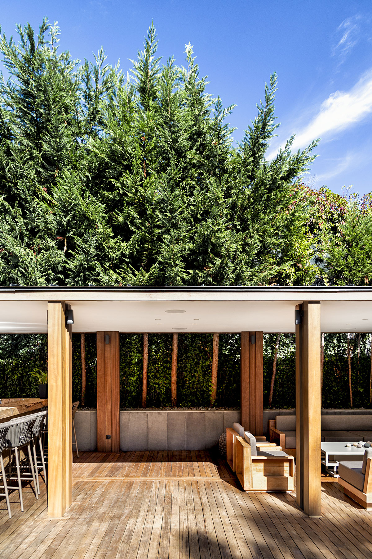 Yasemin Üstündağ || PHORMIUM İstanbul 2019