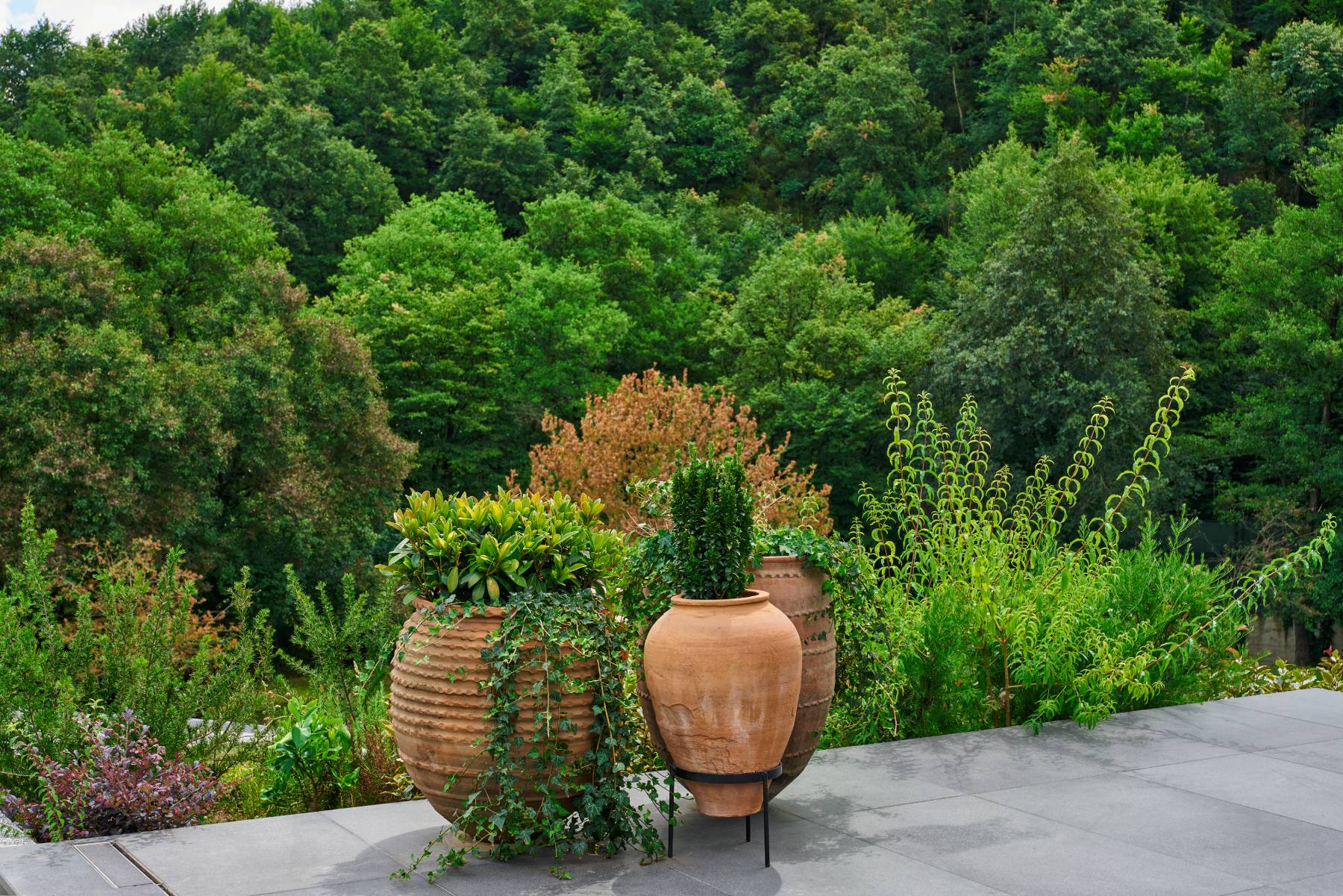 Yasemin Üstündağ || QUERCUS İstanbul 2023