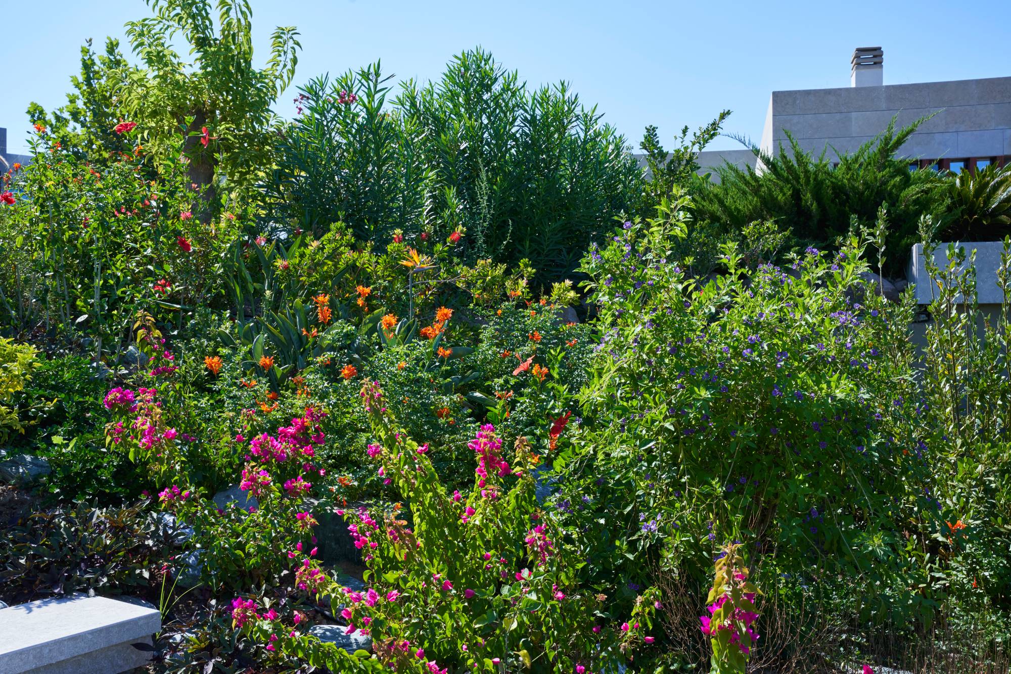 Yasemin Üstündağ || ERYTHRINA Bodrum 2021