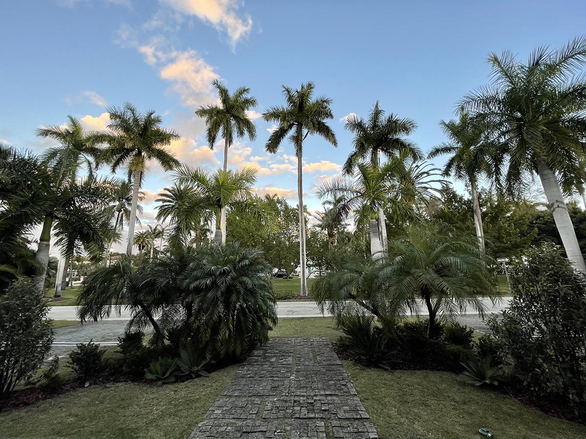 Yasemin Üstündağ || MIAMI Sunset Islands, Miami 2021