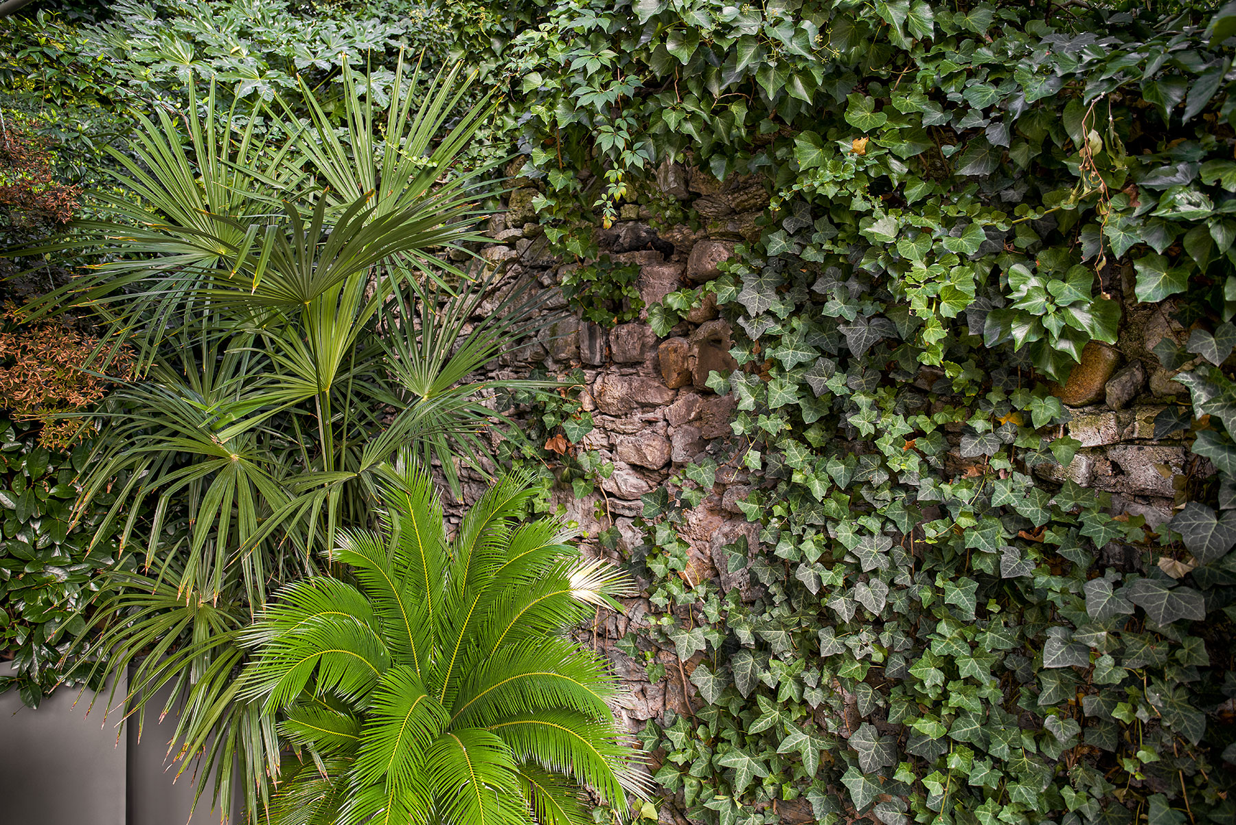 Yasemin Üstündağ || CYCAS İstanbul 2019