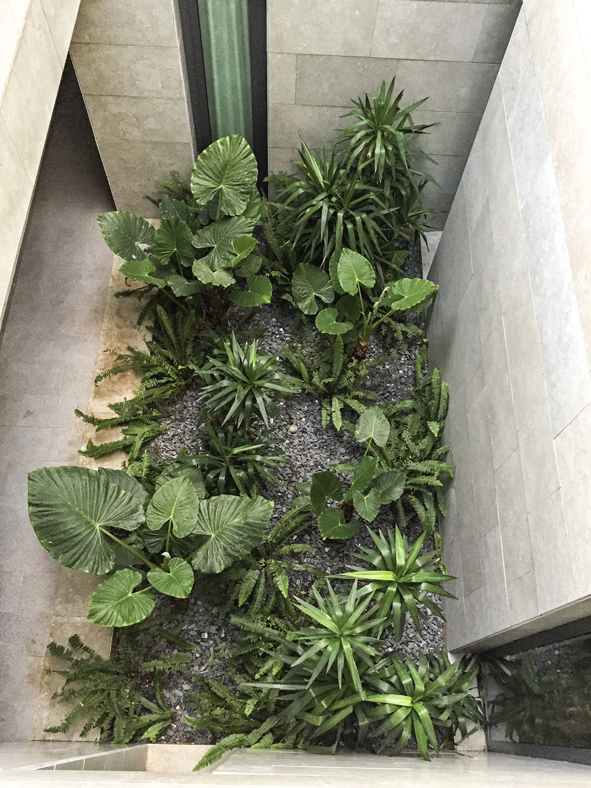 Yasemin Üstündağ || BODRUM Bodrum 2016