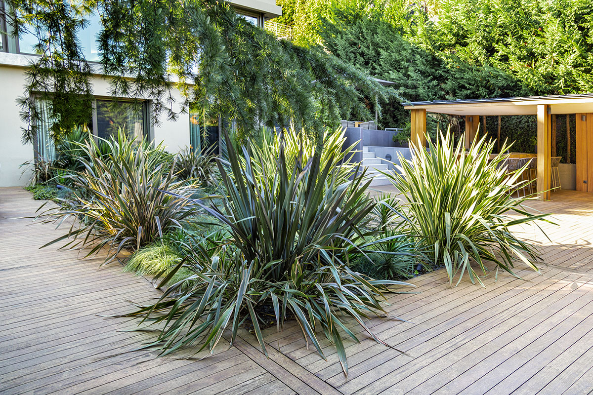 Yasemin Üstündağ || PHORMIUM İstanbul 2019