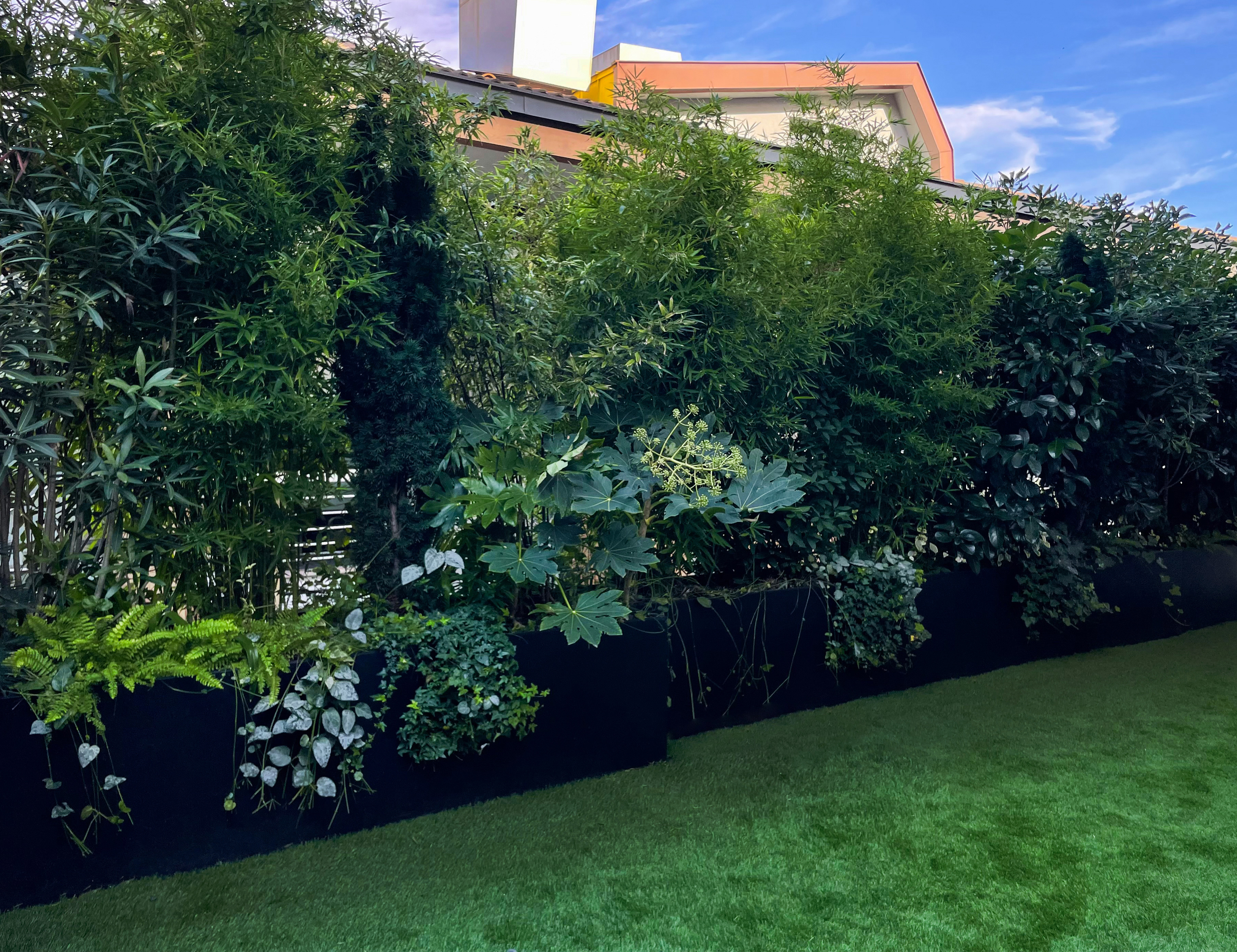 Yasemin Üstündağ || BAMBUSA İstanbul 2022