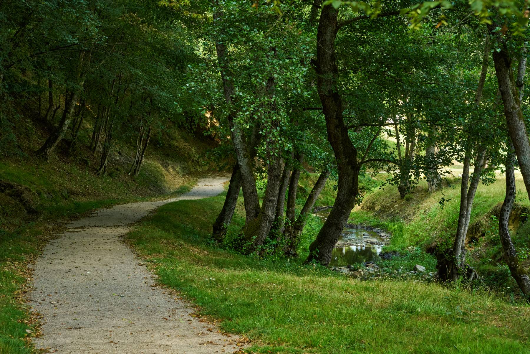 Yasemin Üstündağ || QUERCUS İstanbul 2023