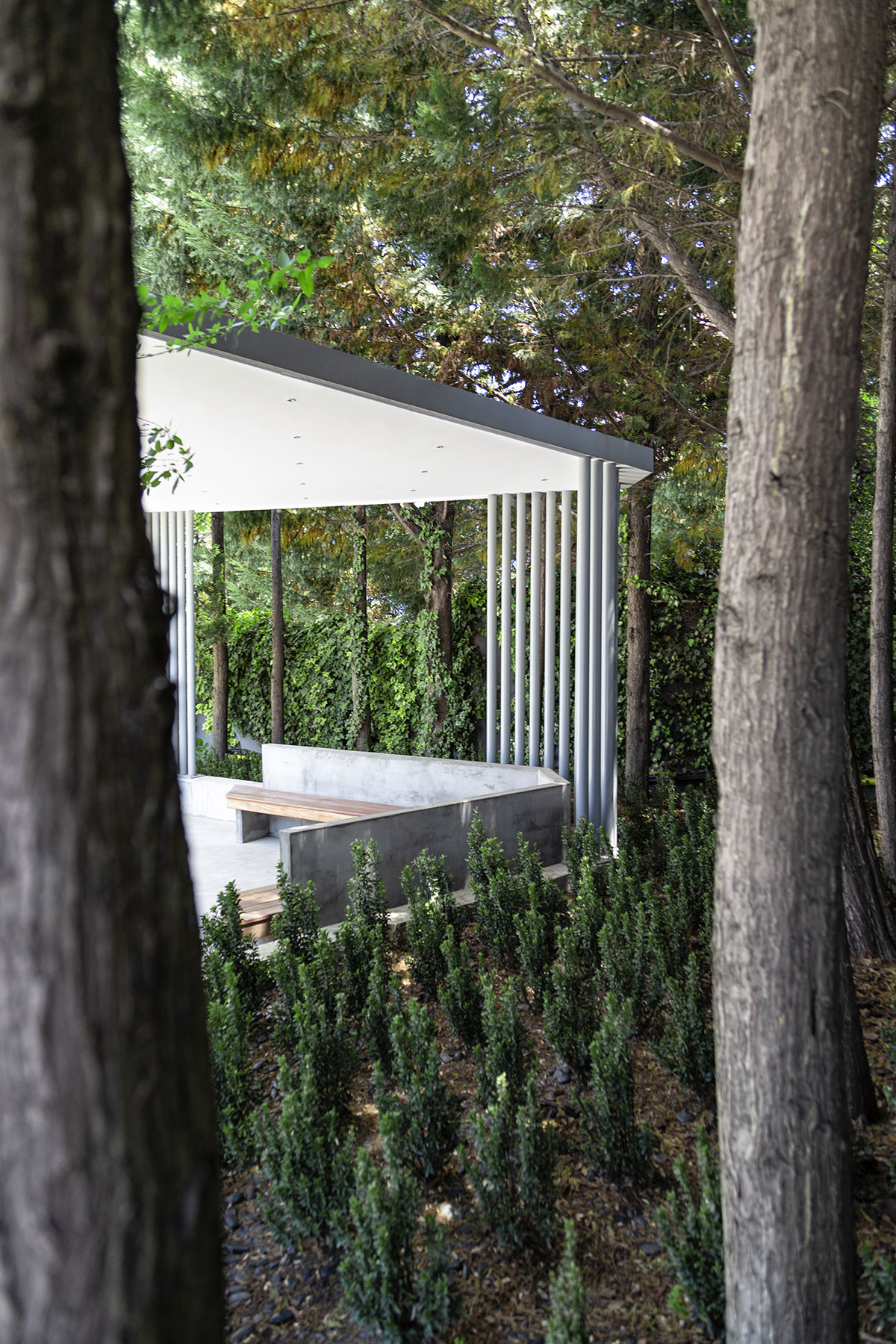 Yasemin Üstündağ || SBS İstanbul 2018