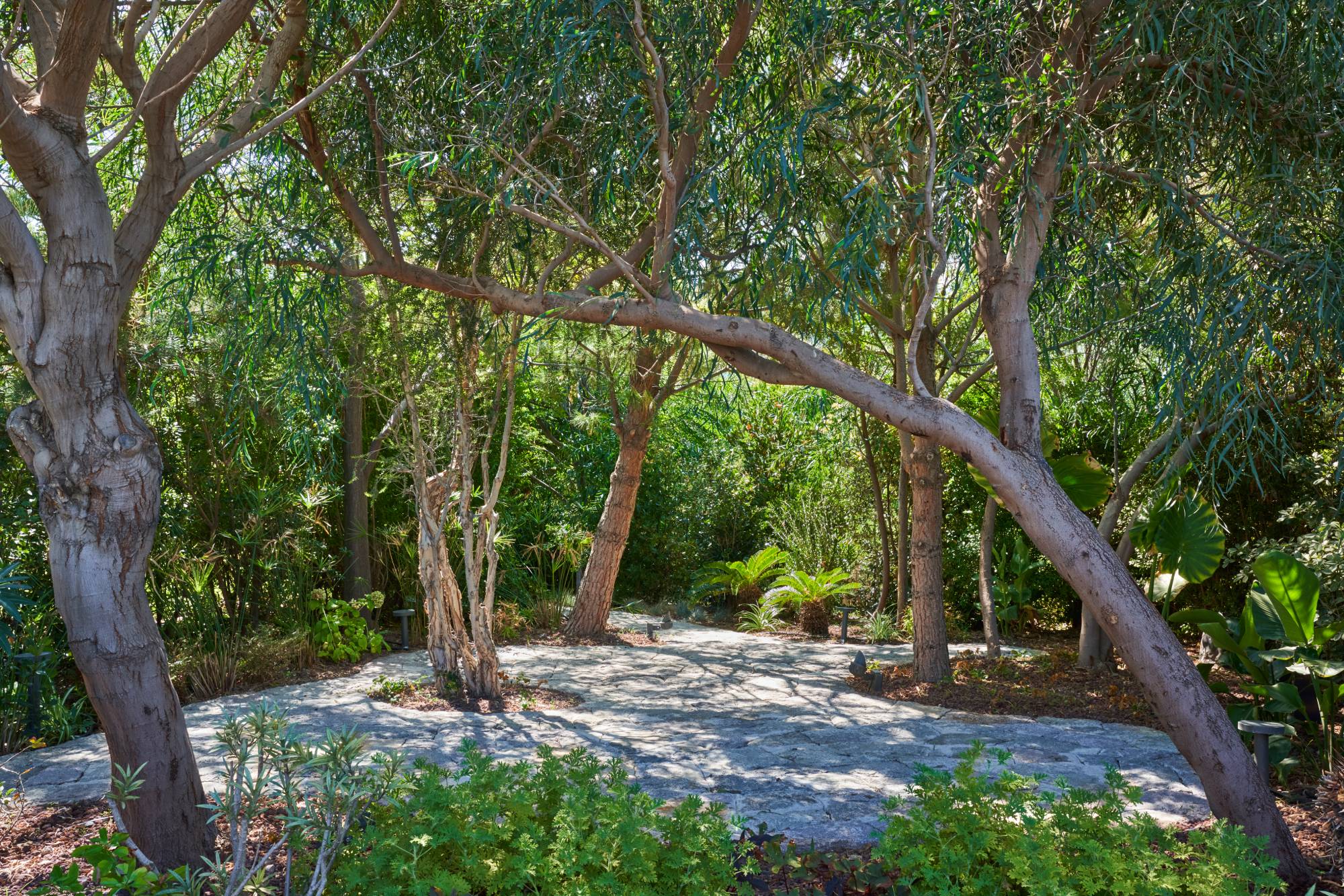 Yasemin Üstündağ || ERYTHRINA Bodrum 2021