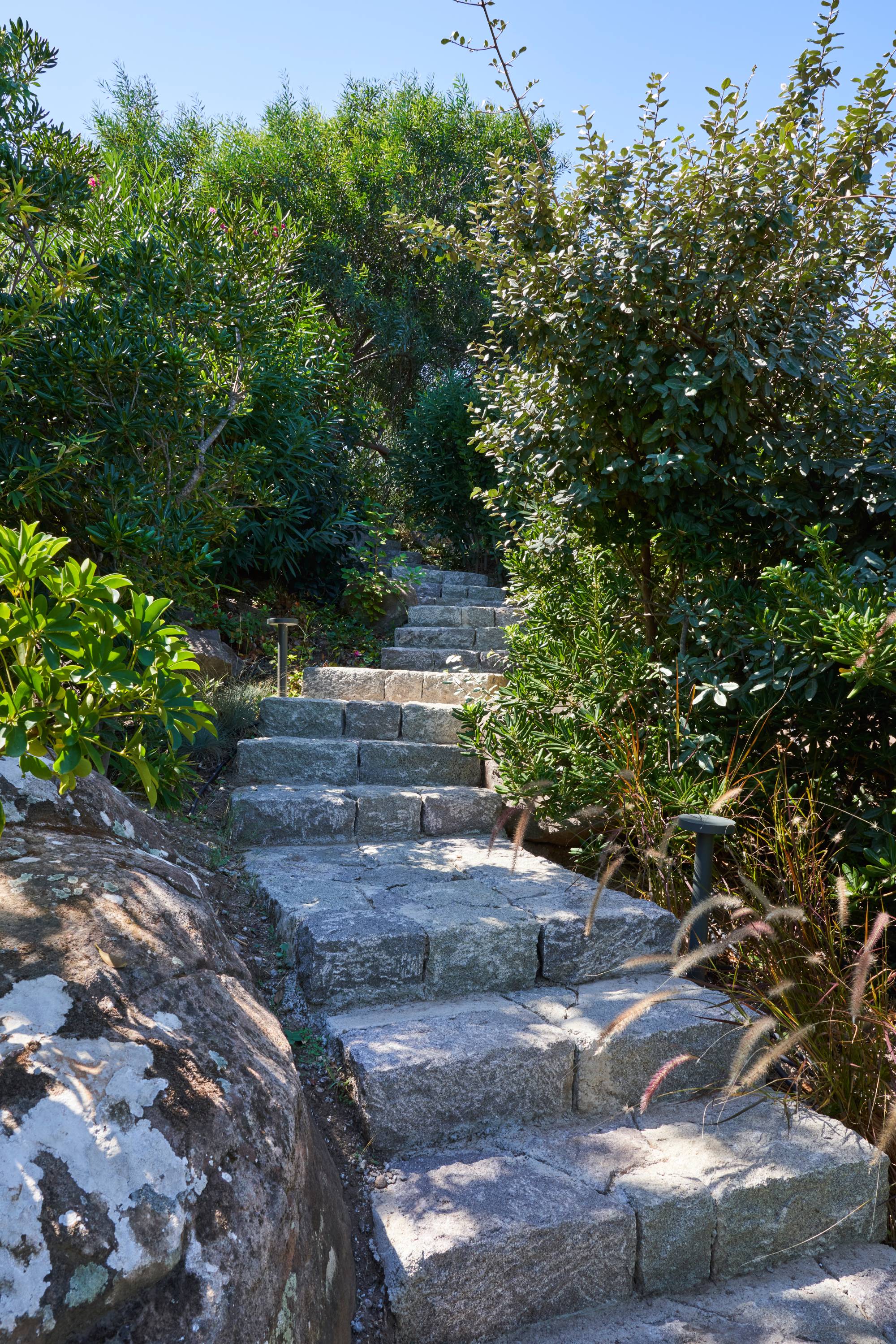 Yasemin Üstündağ || ERYTHRINA Bodrum 2021