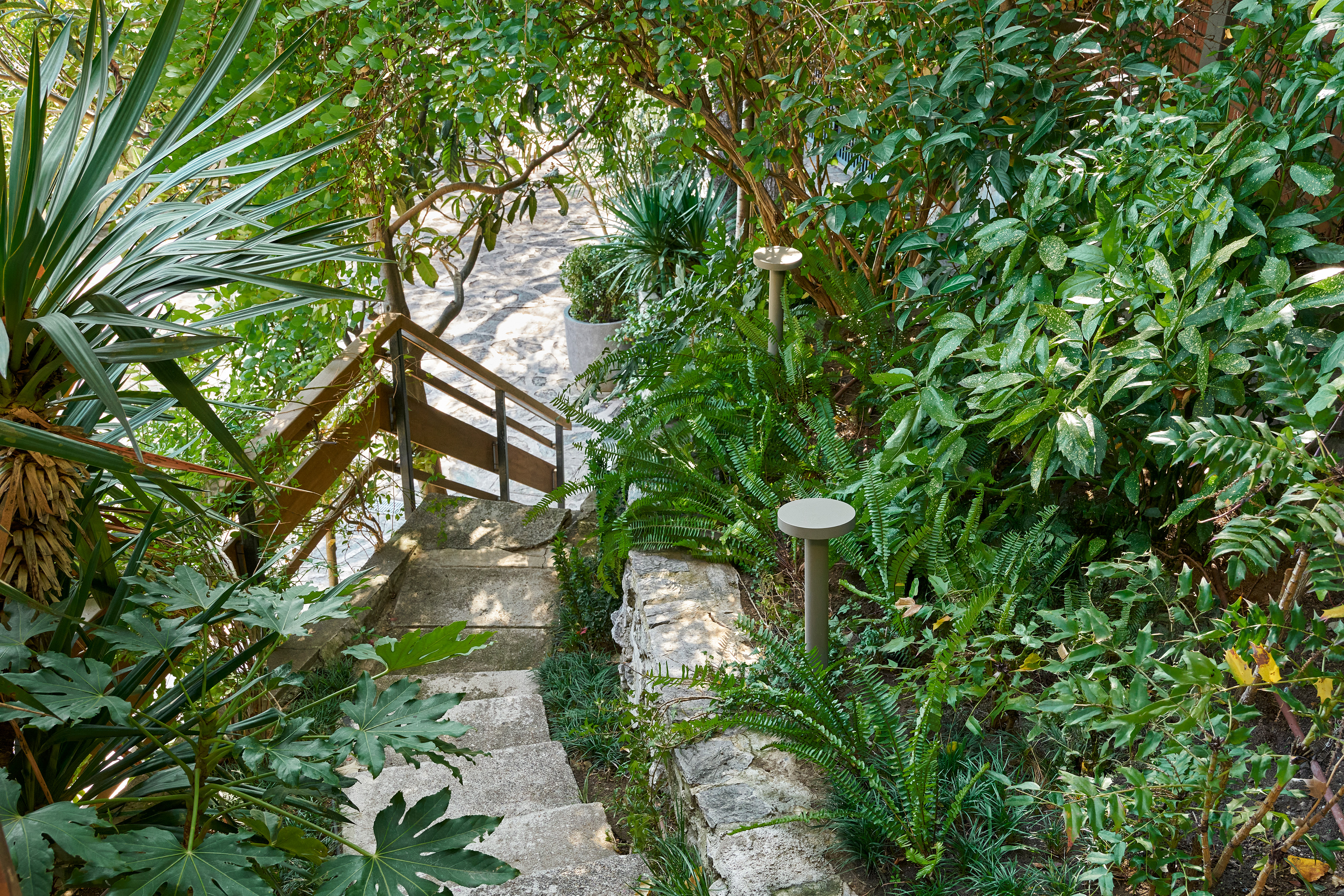 Yasemin Üstündağ || MAHONIA İstanbul 2023