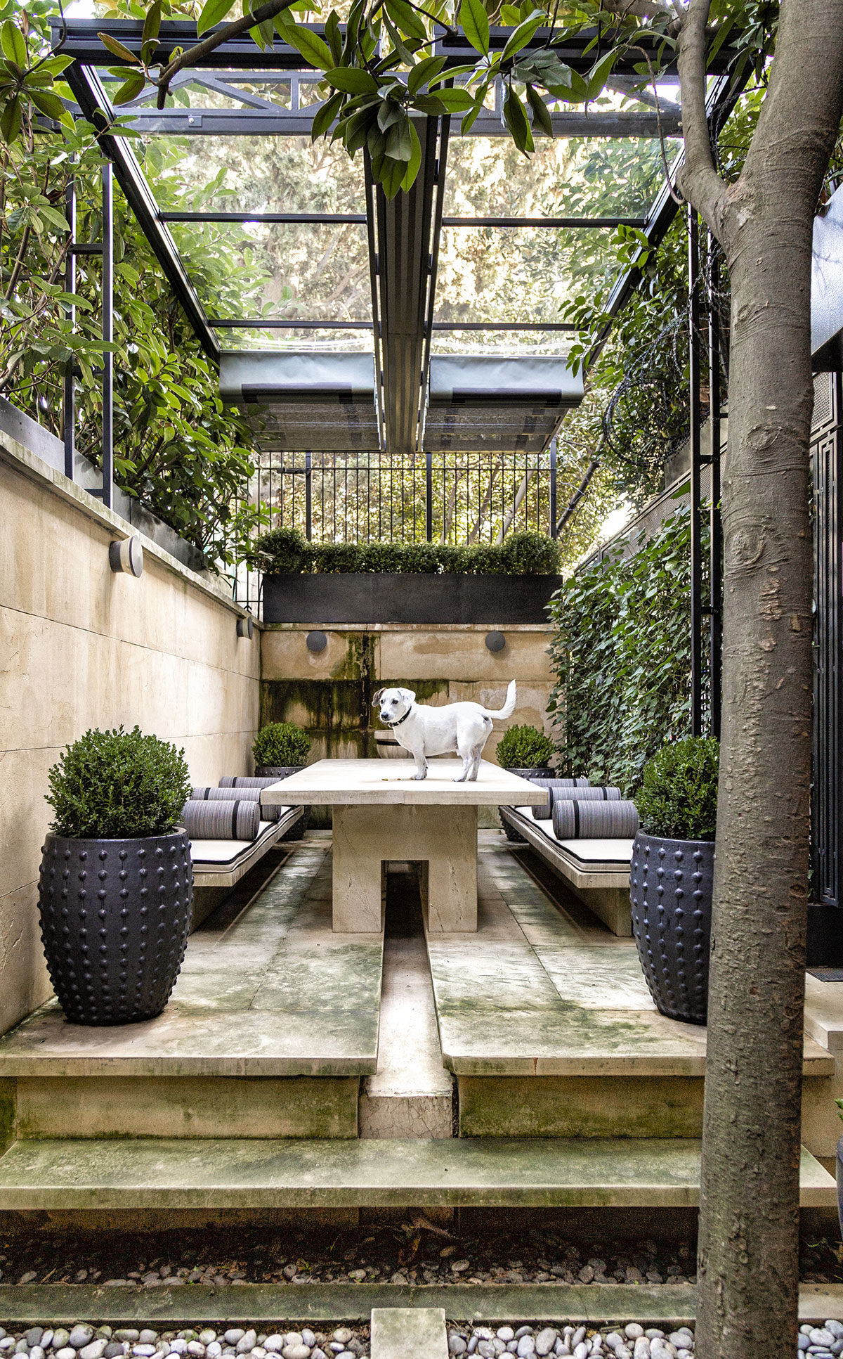 Yasemin Üstündağ || BUXUS