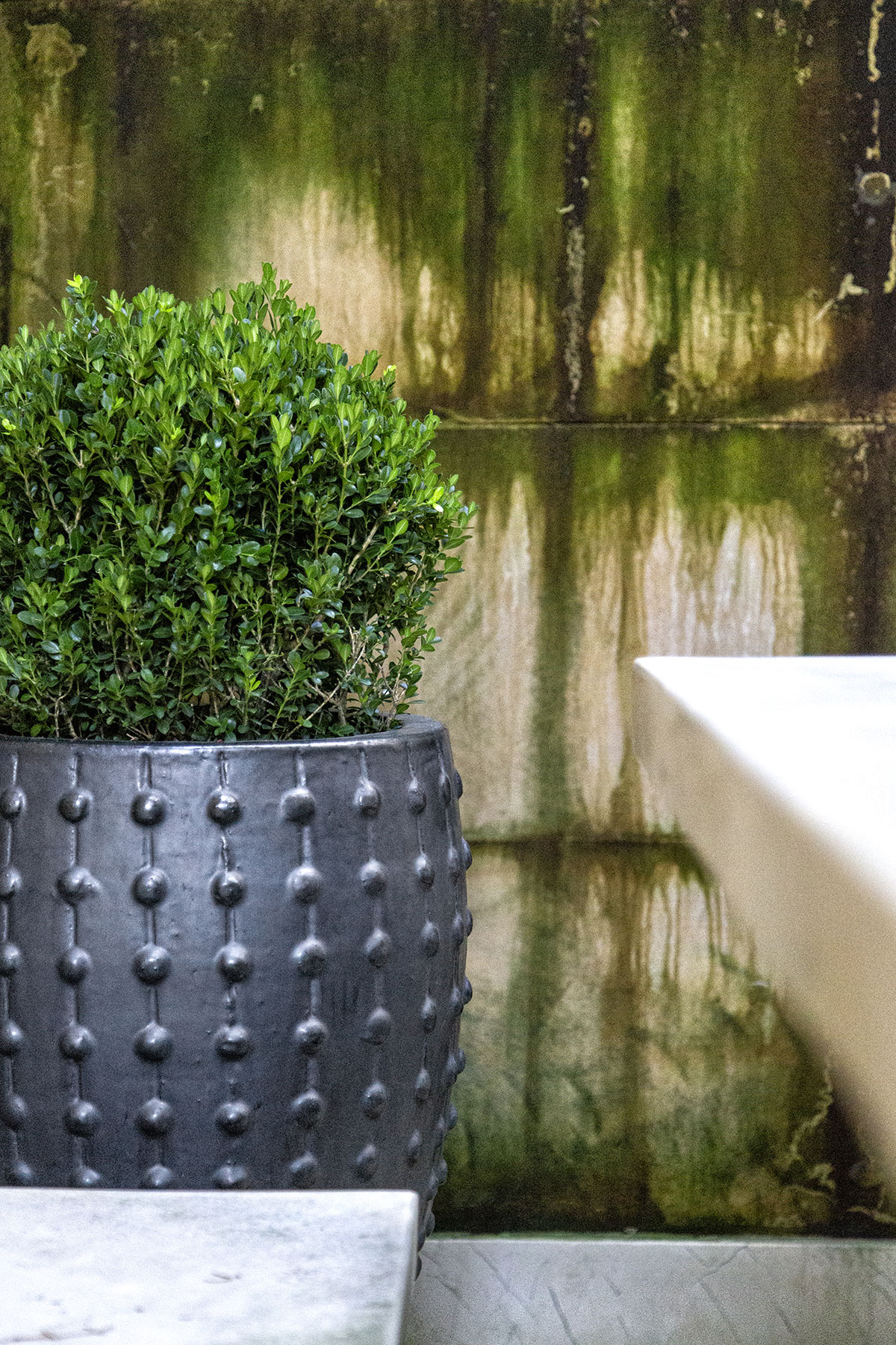 Yasemin Üstündağ || BUXUS İstanbul 2018