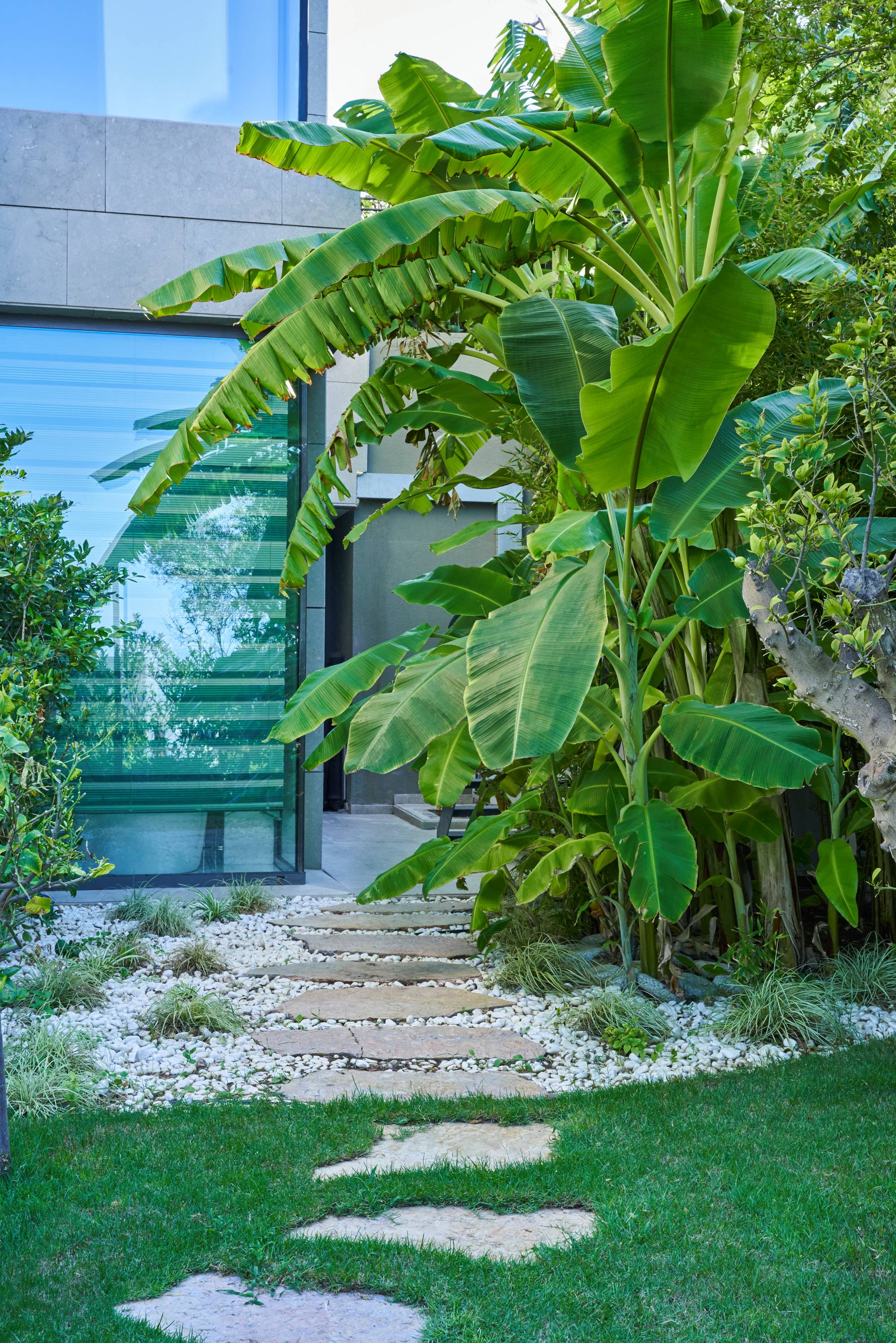 Yasemin Üstündağ || ERYTHRINA Bodrum 2021