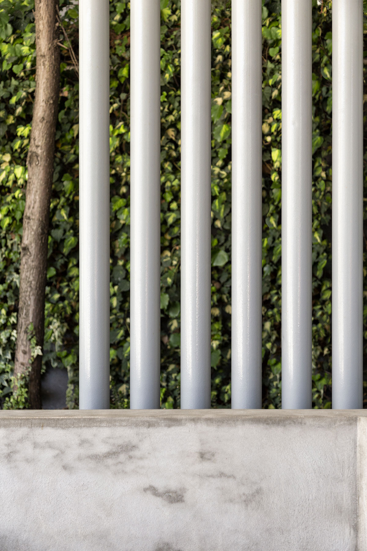 Yasemin Üstündağ || SBS İstanbul 2018