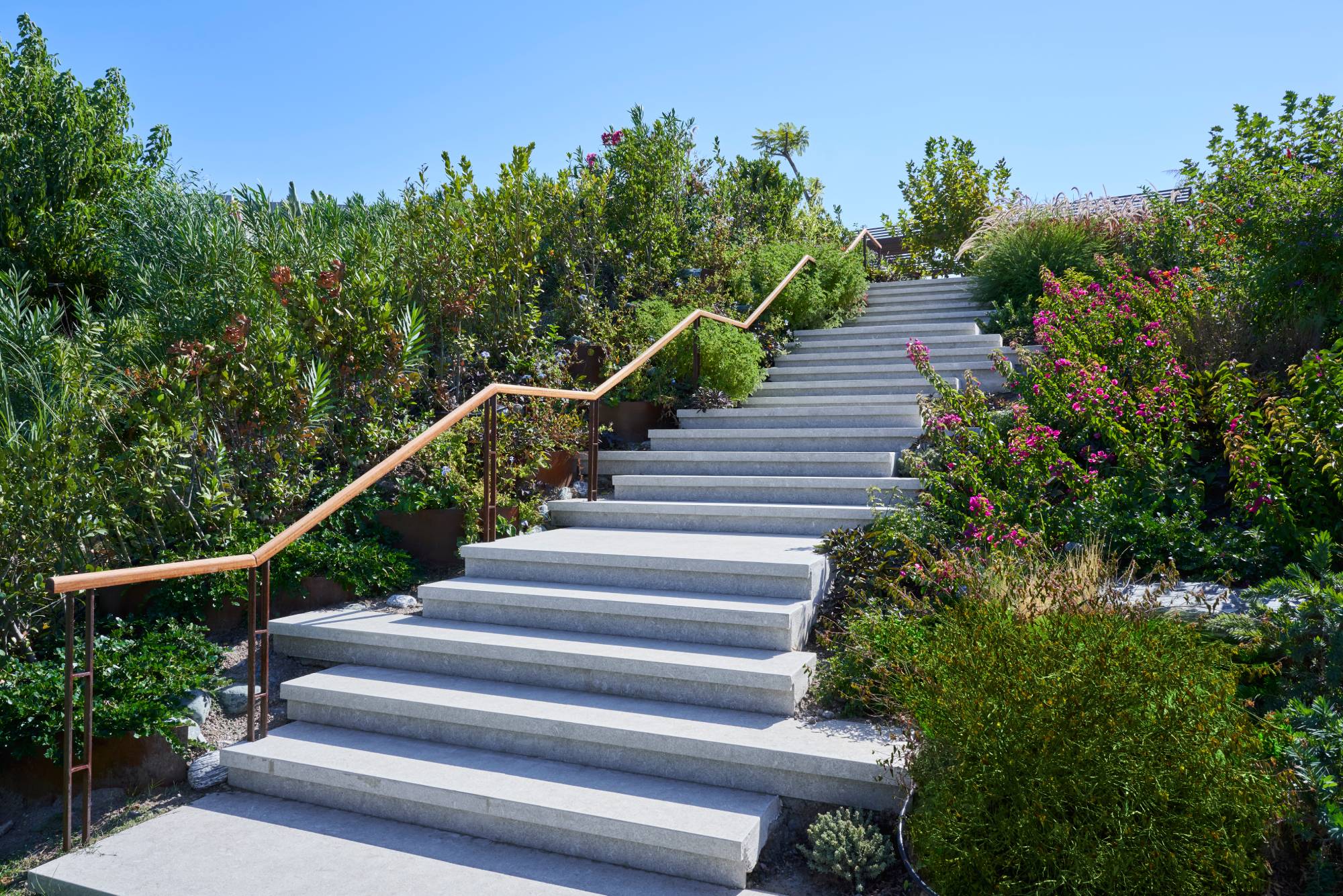 Yasemin Üstündağ || ERYTHRINA Bodrum 2021