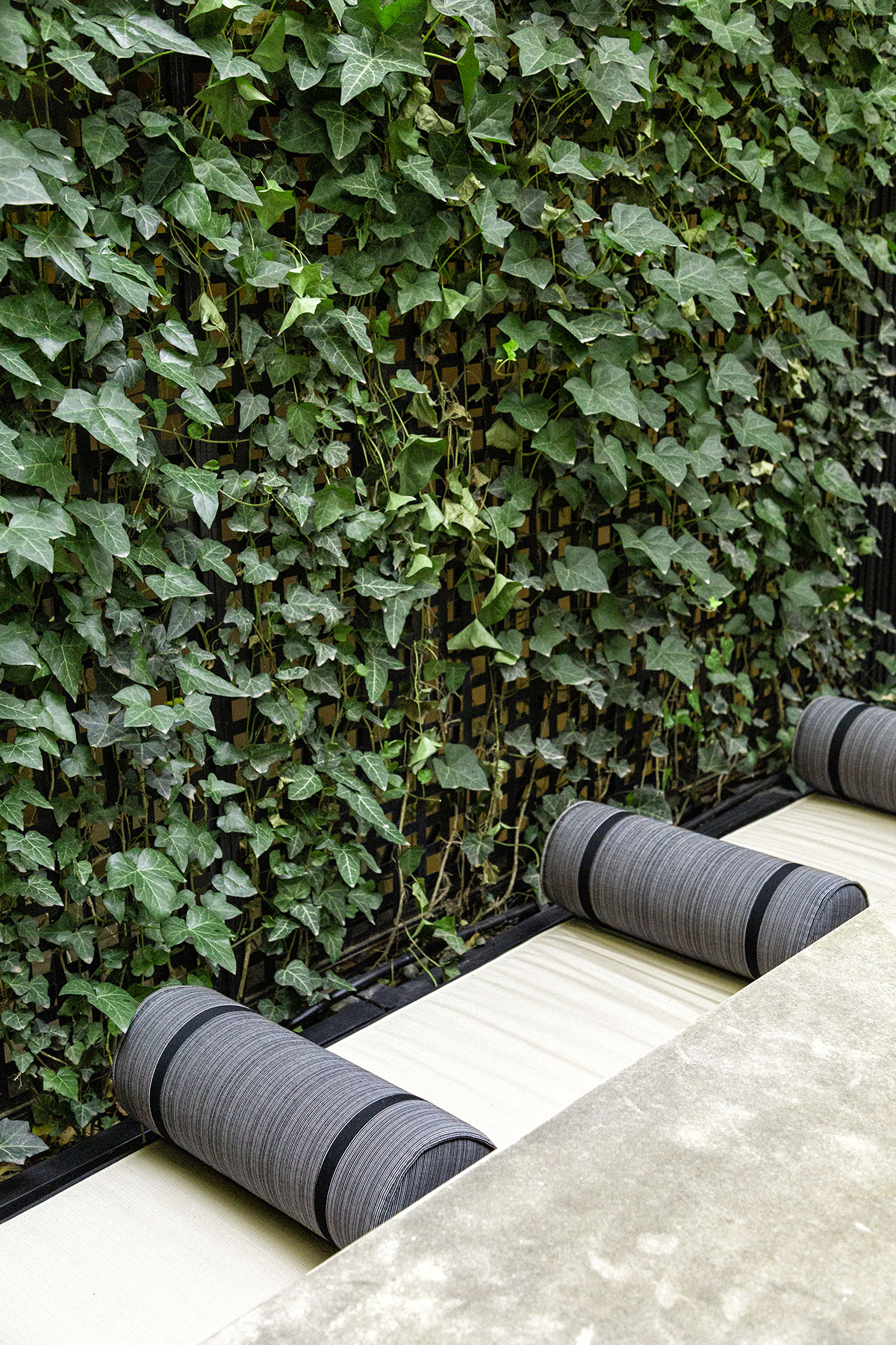 Yasemin Üstündağ || BUXUS İstanbul 2018