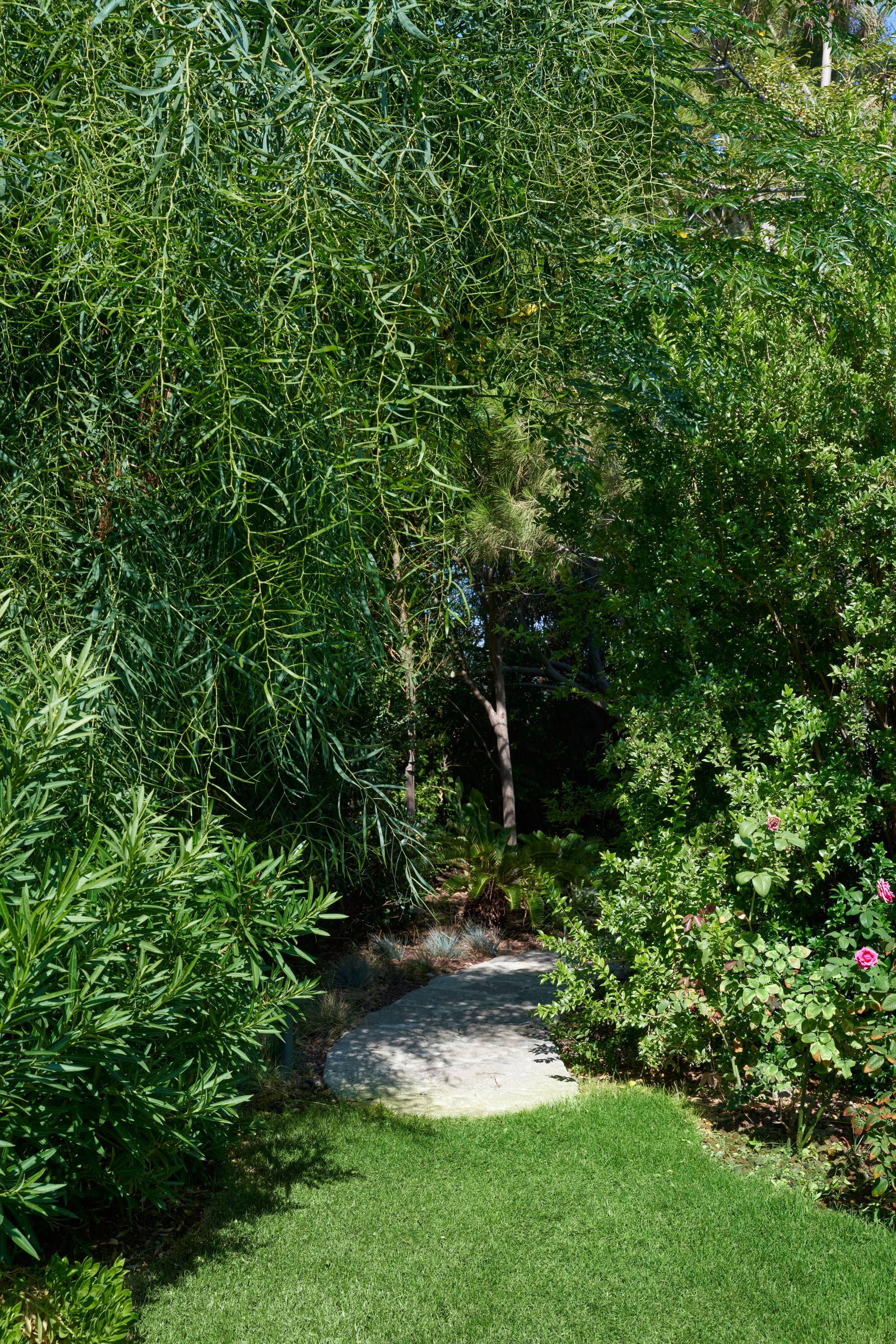 Yasemin Üstündağ || ERYTHRINA Bodrum 2021